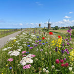 Joyfields regiomengsels Nederland - Regio Zeeland [nl]
