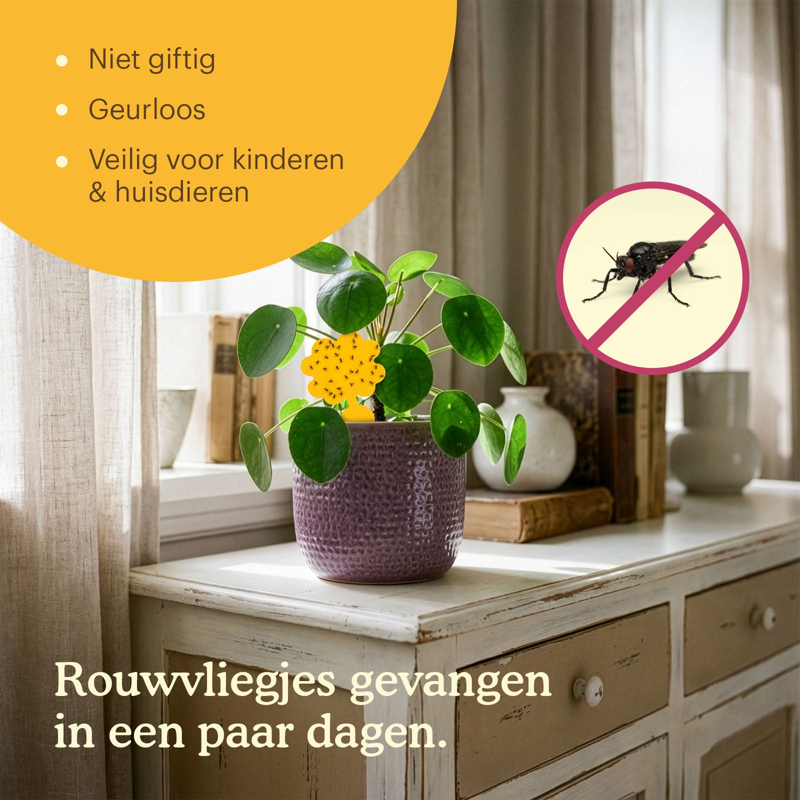 sticky-fly-traps-situatie [nl]