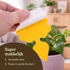 sticky-fly-traps-instructie [nl]