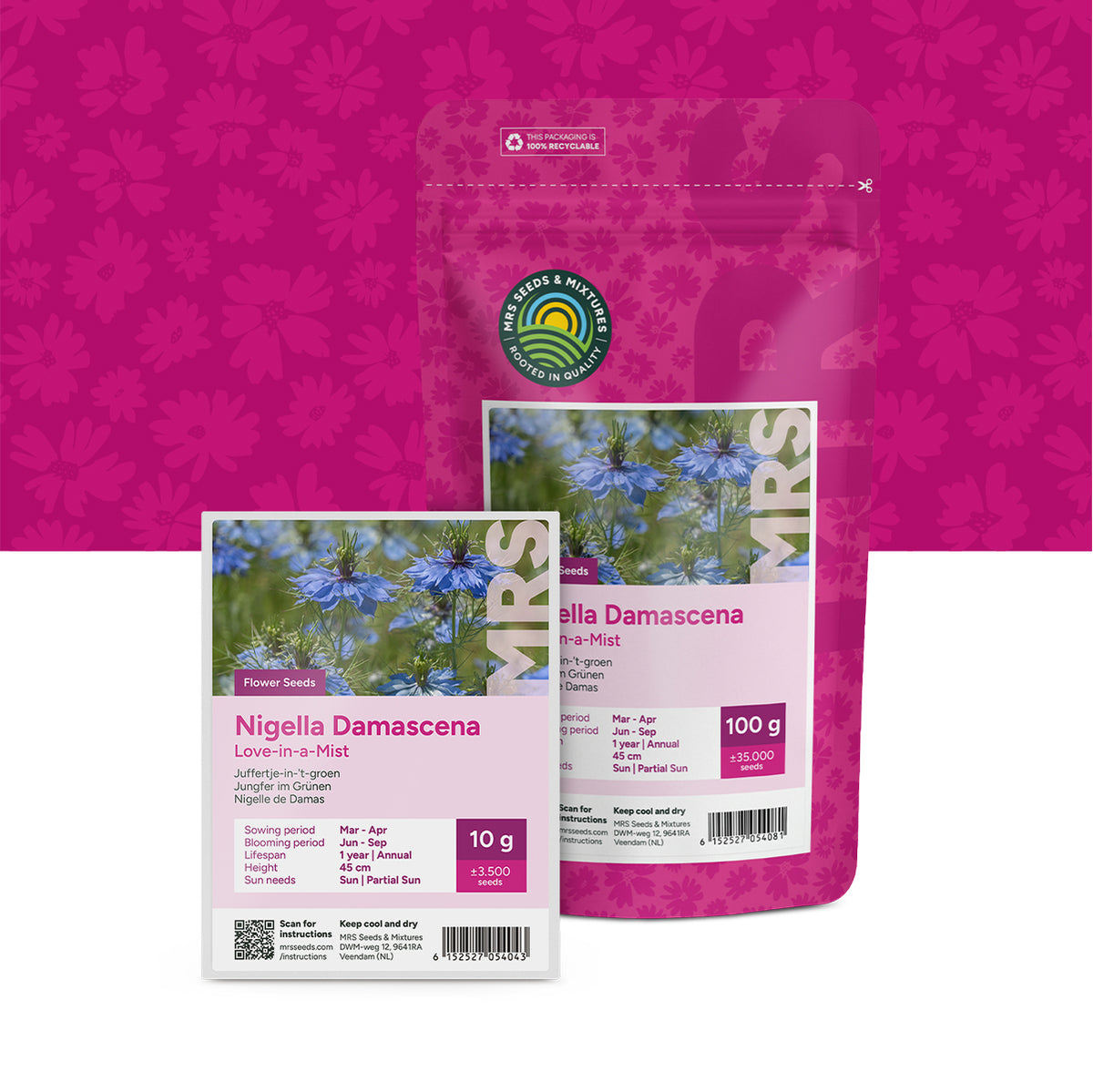 Juffertje-in-'t-groen – Nigella damascena