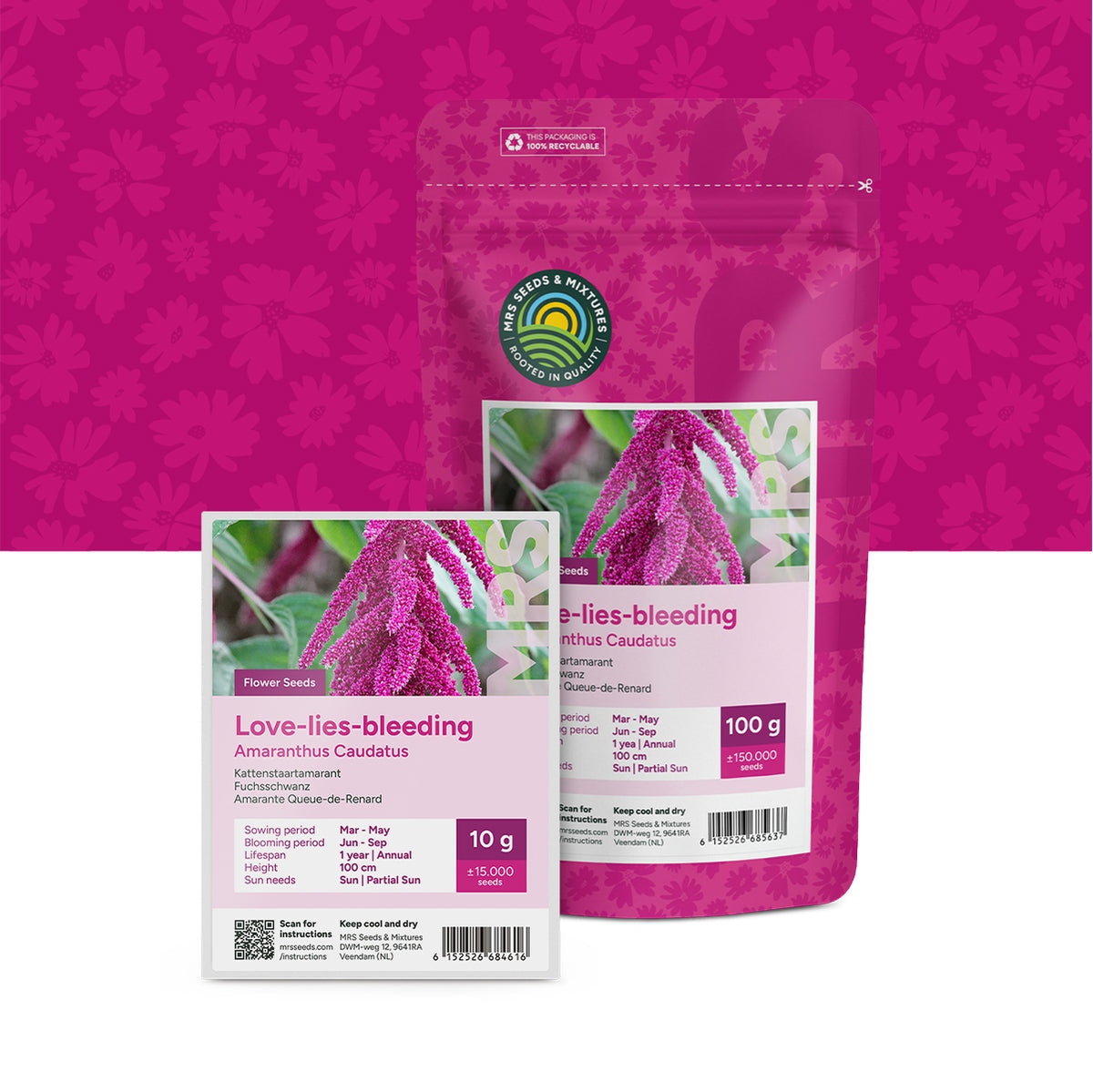 Kattenstaartamarant – Amaranthus caudatus