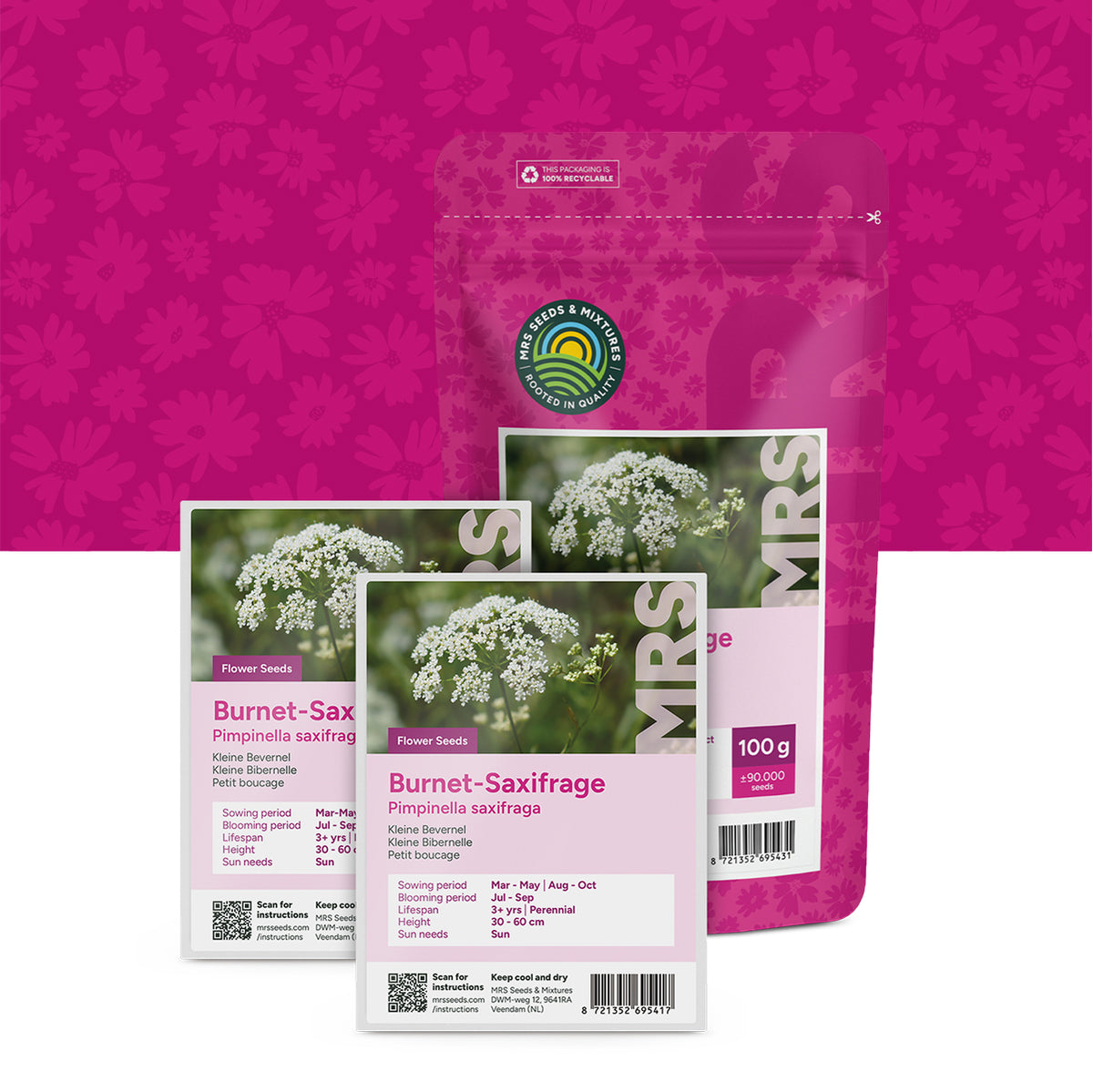Kleine bevernel – Pimpinella saxifraga