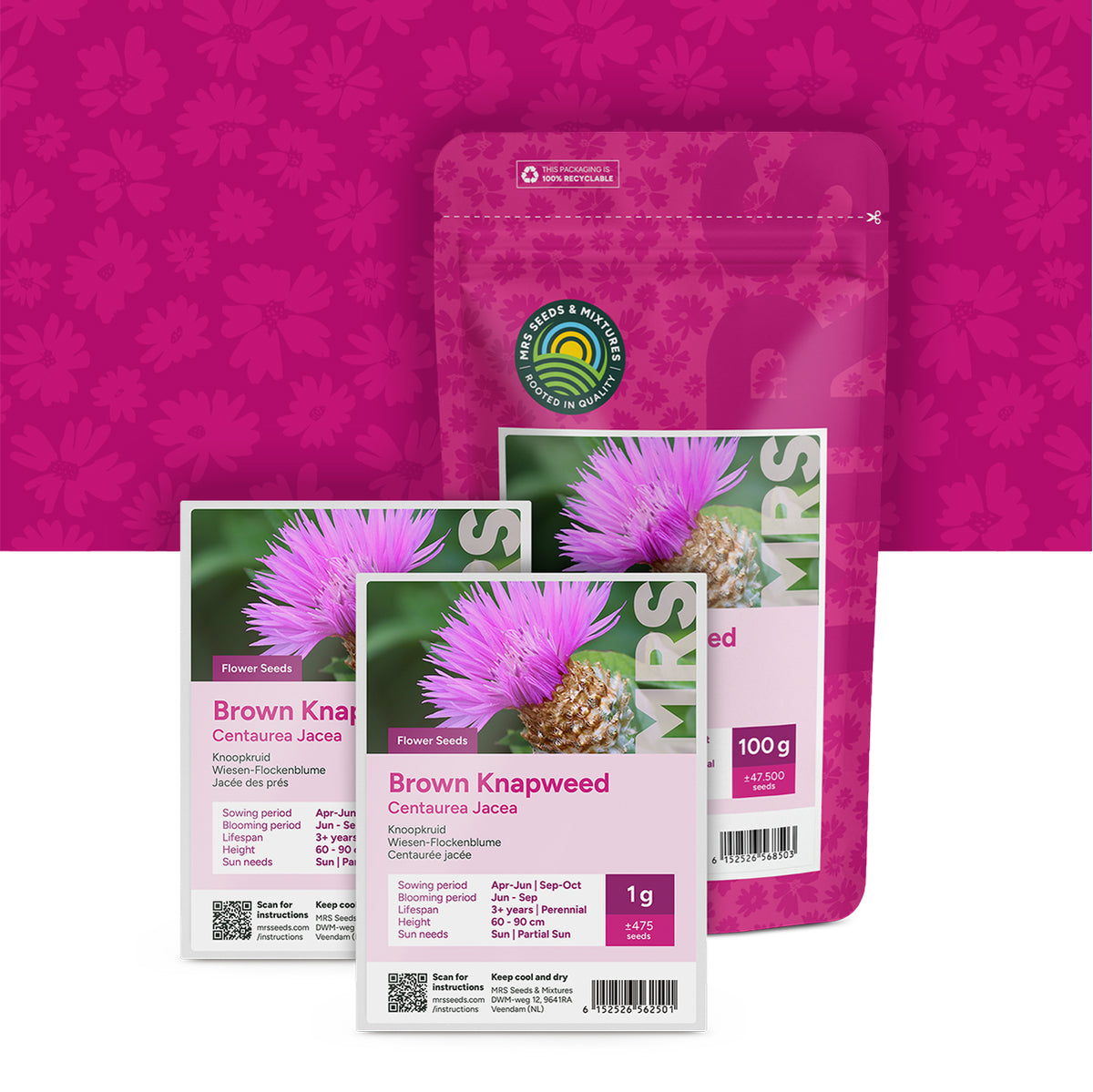 Knoopkruid – Centaurea jacea