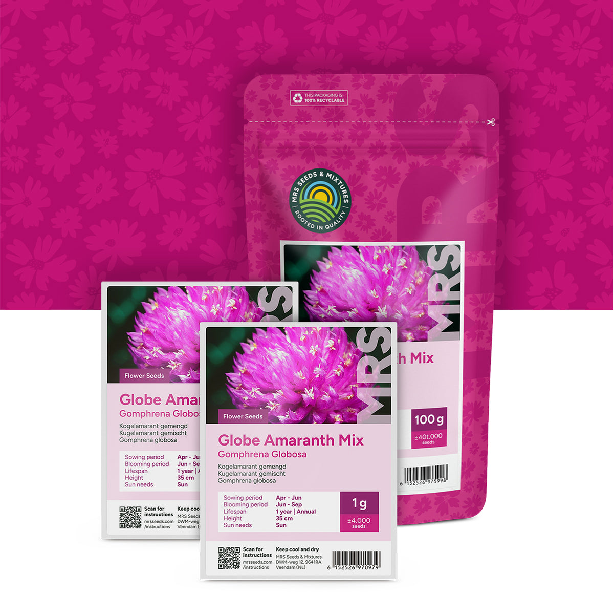 Kogelamarant gemengd – Gomphrena globosa
