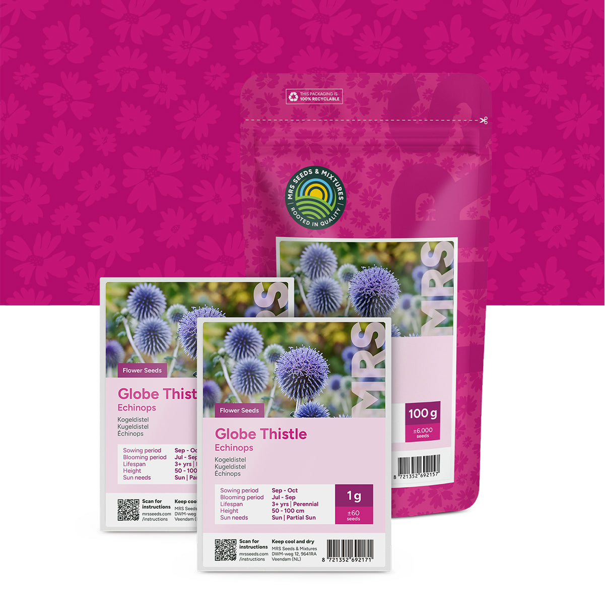 Kogeldistel – Echinops