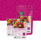 Kokardebloem – Gaillardia aristata