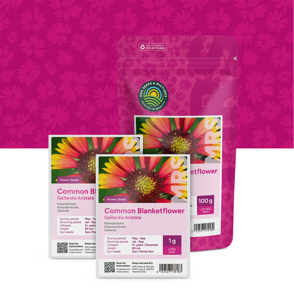 Kokardebloem – Gaillardia aristata