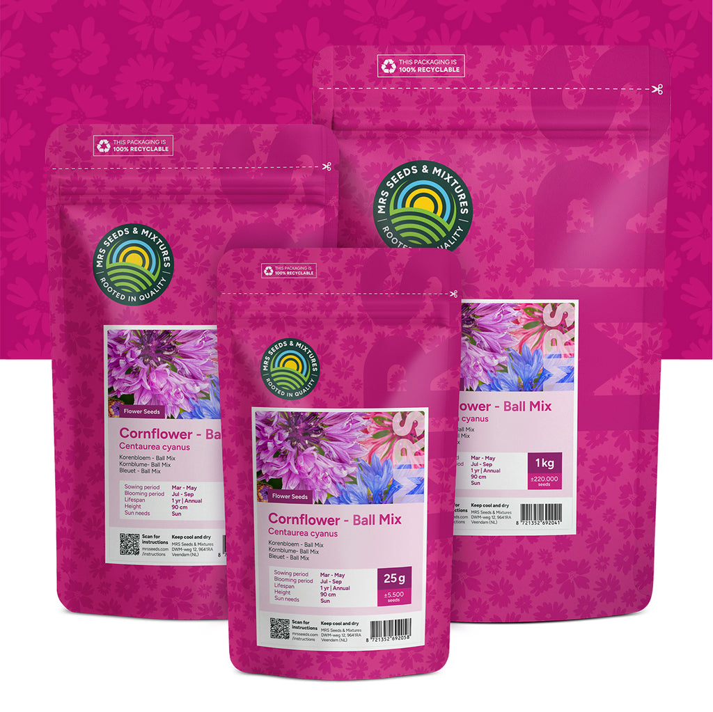 Korenbloem 'Ball Mix'