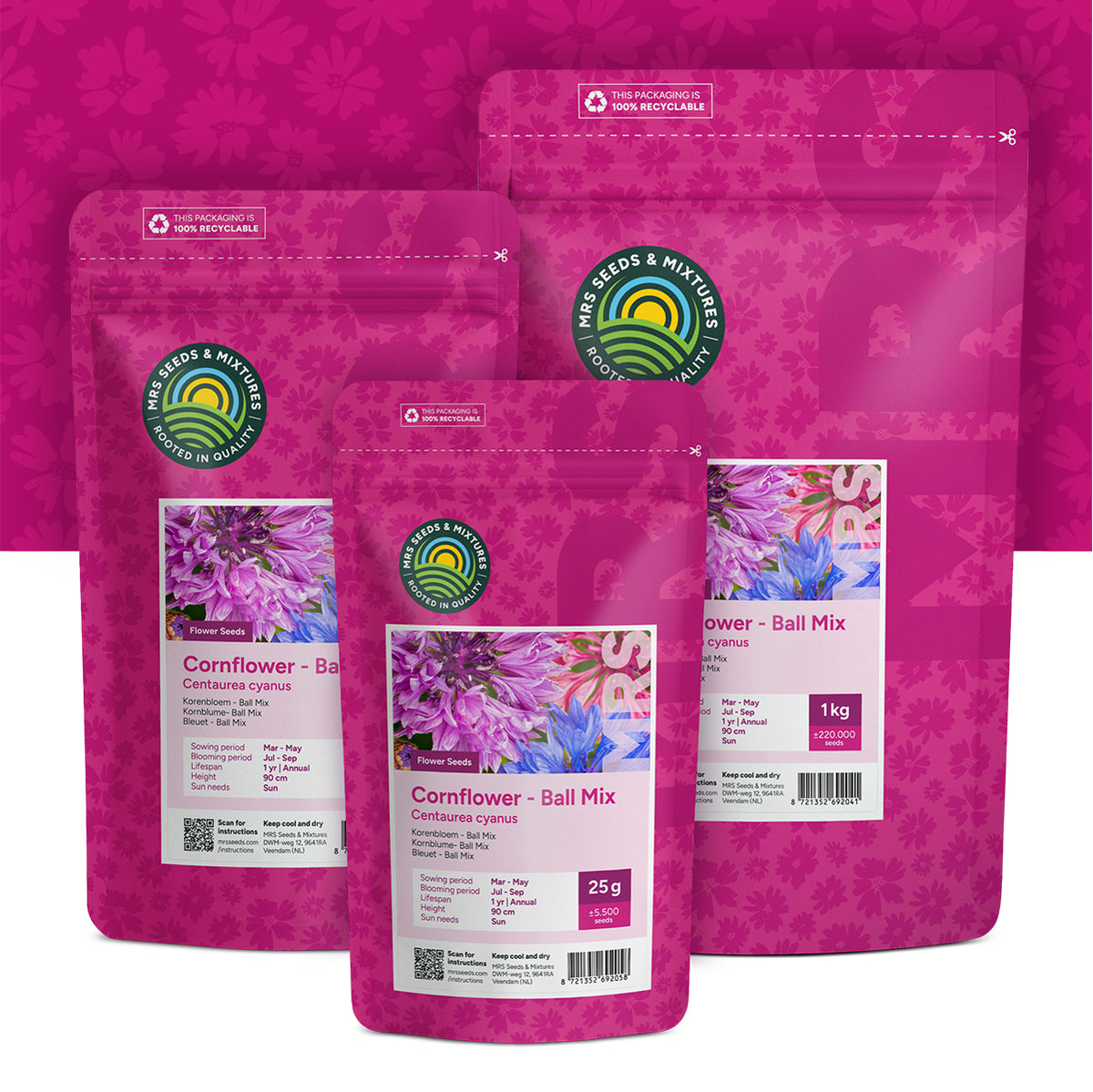 Korenbloem 'Ball Mix'