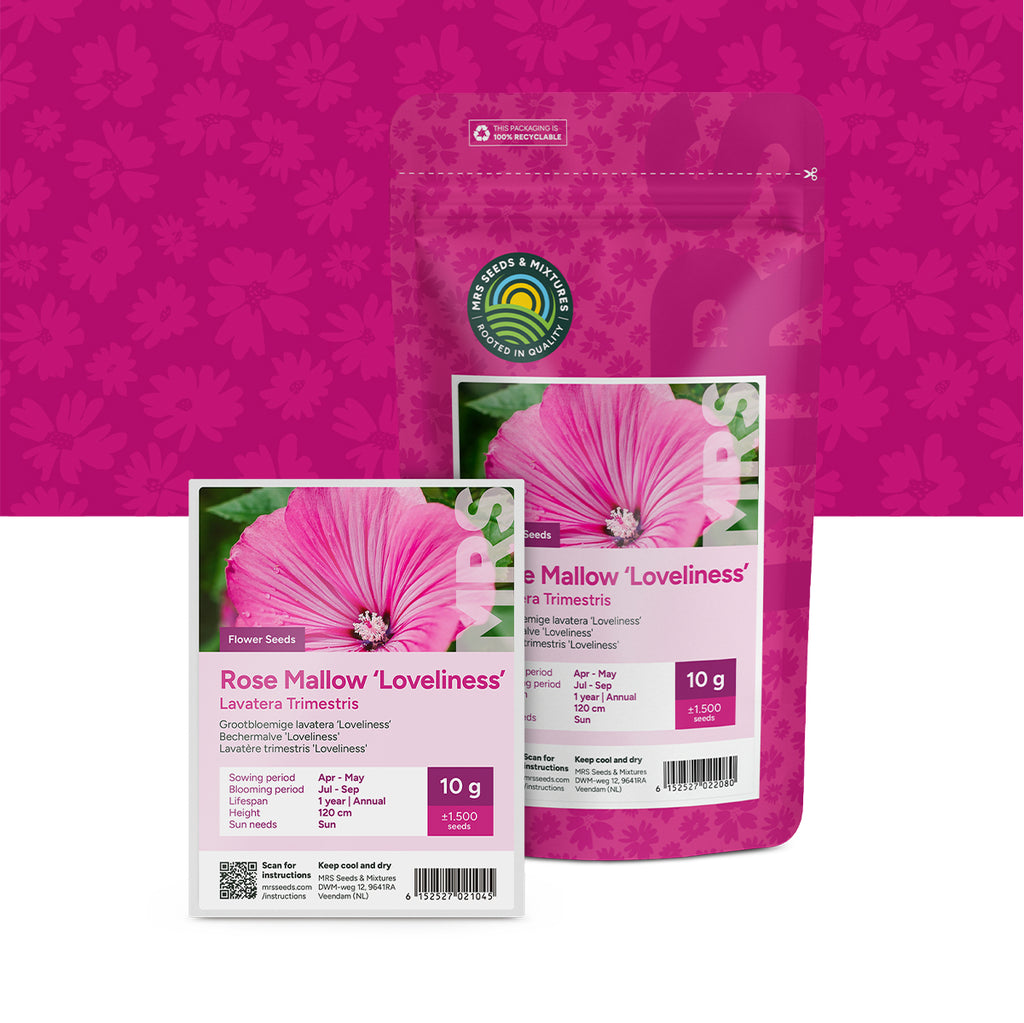 Lavatera Trimestris – grootbloemig