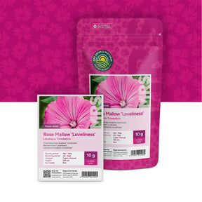 Lavatera Trimestris – grootbloemig