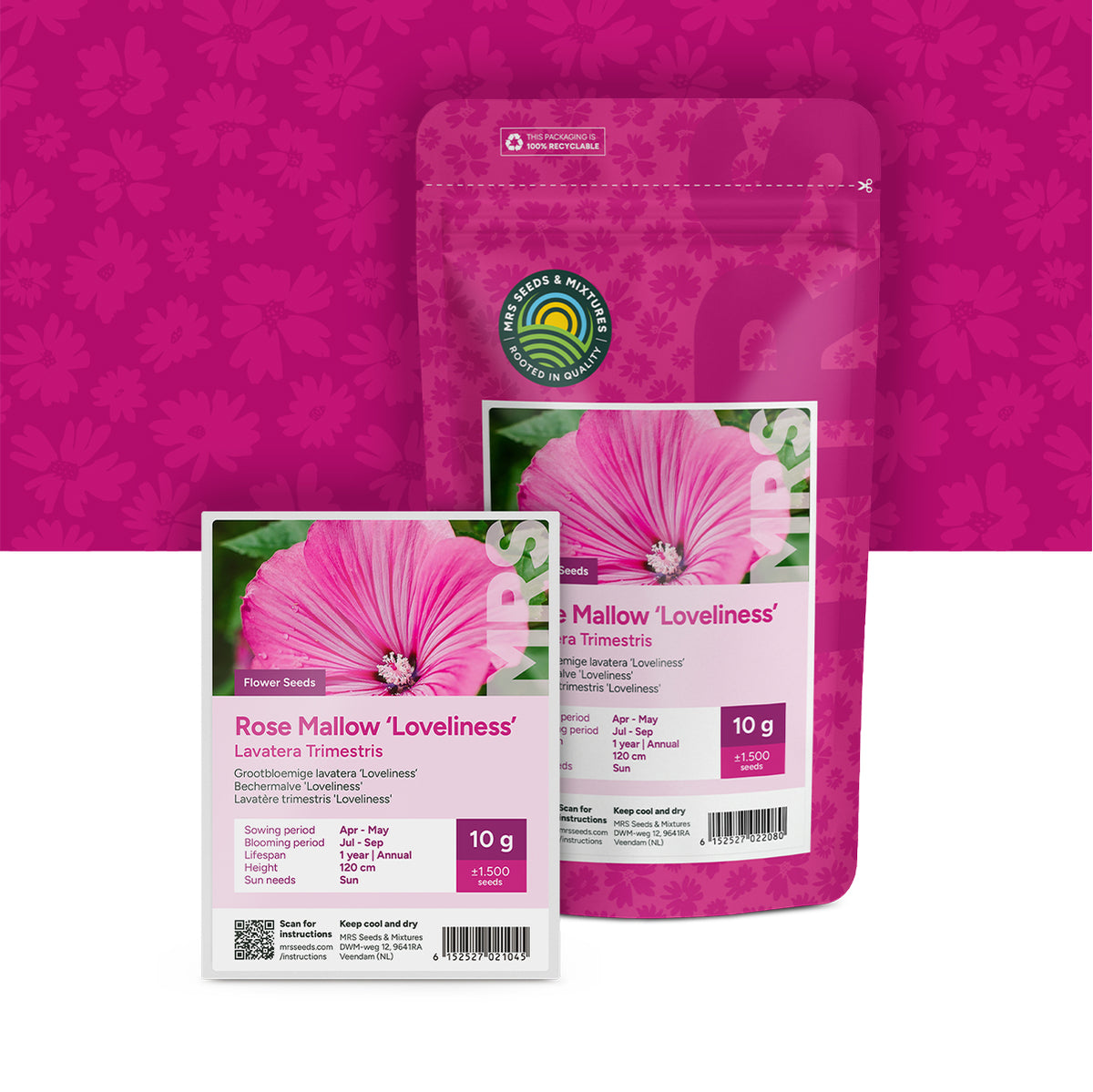 Lavatera Trimestris – grootbloemig