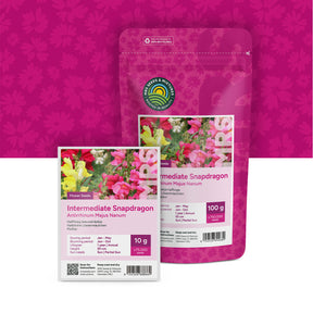 Leeuwenbekje halfhoge – Antirrhinum