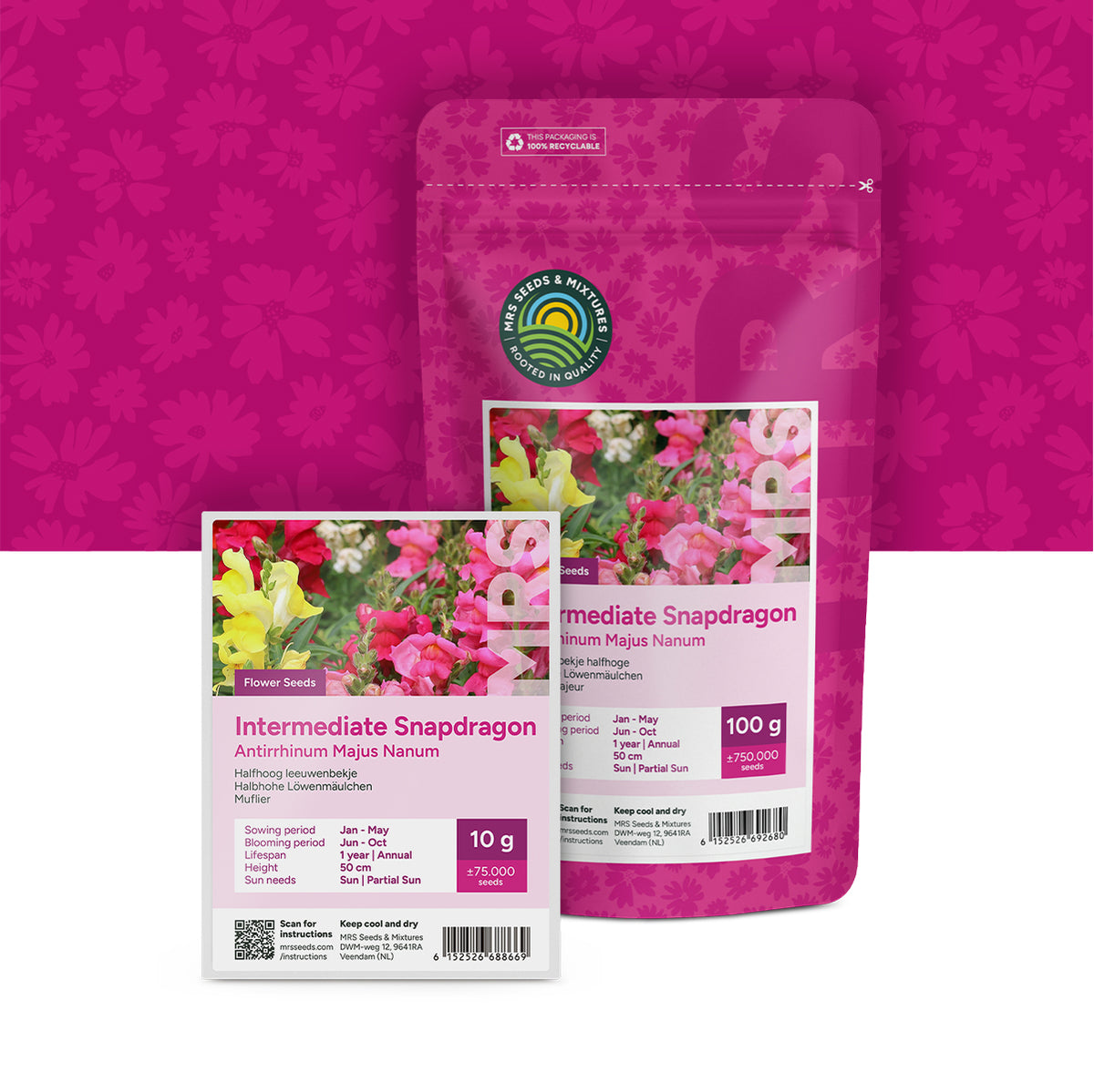 Leeuwenbekje halfhoge – Antirrhinum