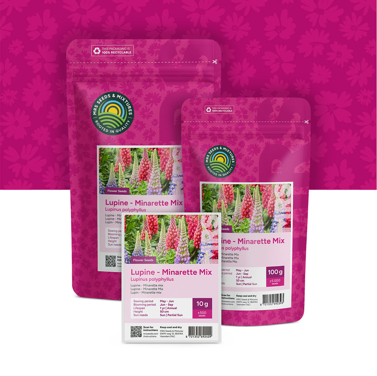 Lupine – Lupinus Minarette mix