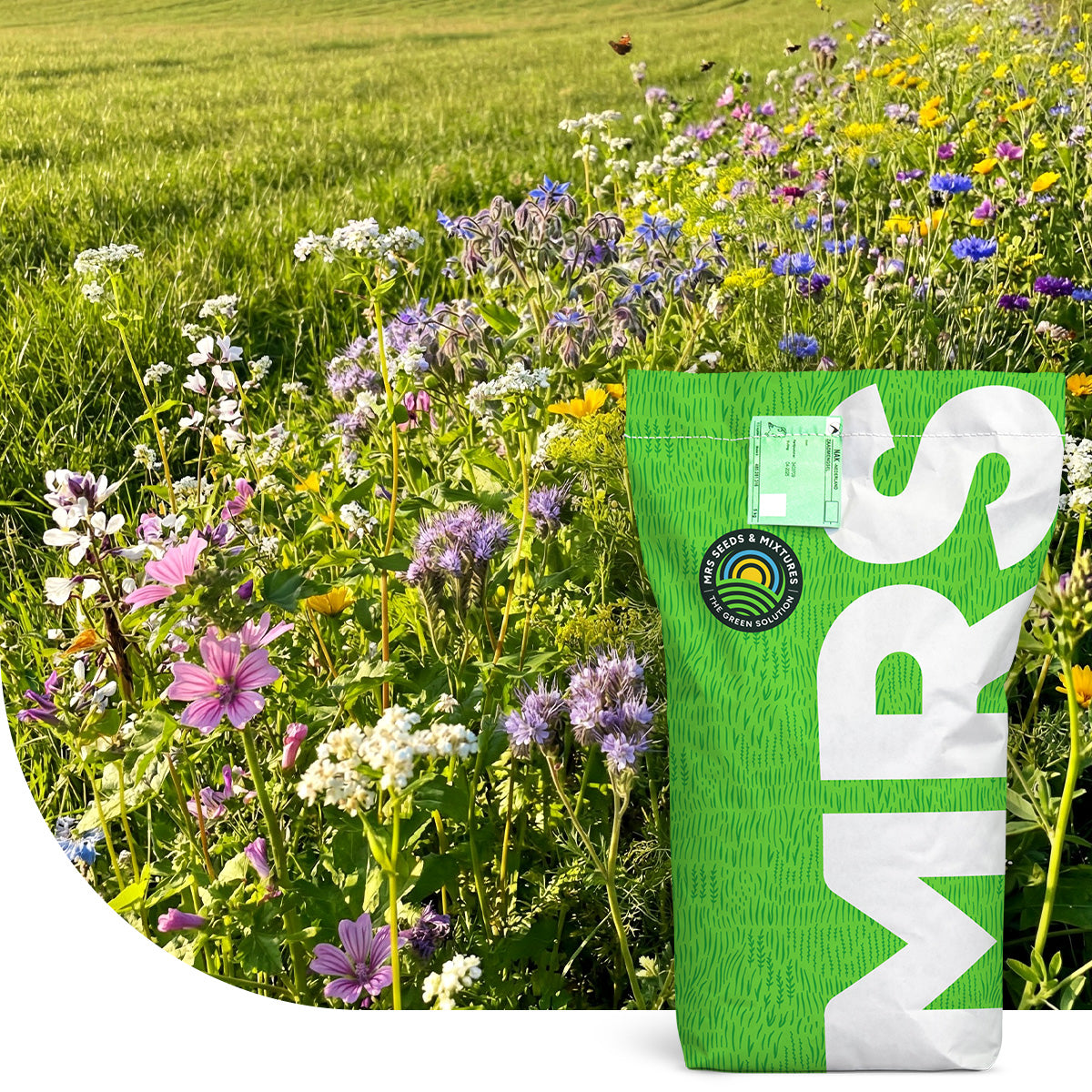 Akkerrandmengsel Bestuiving