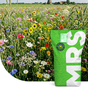 FAB-mengsel (Functionele Agro Biodiversiteit) – Akkerranden