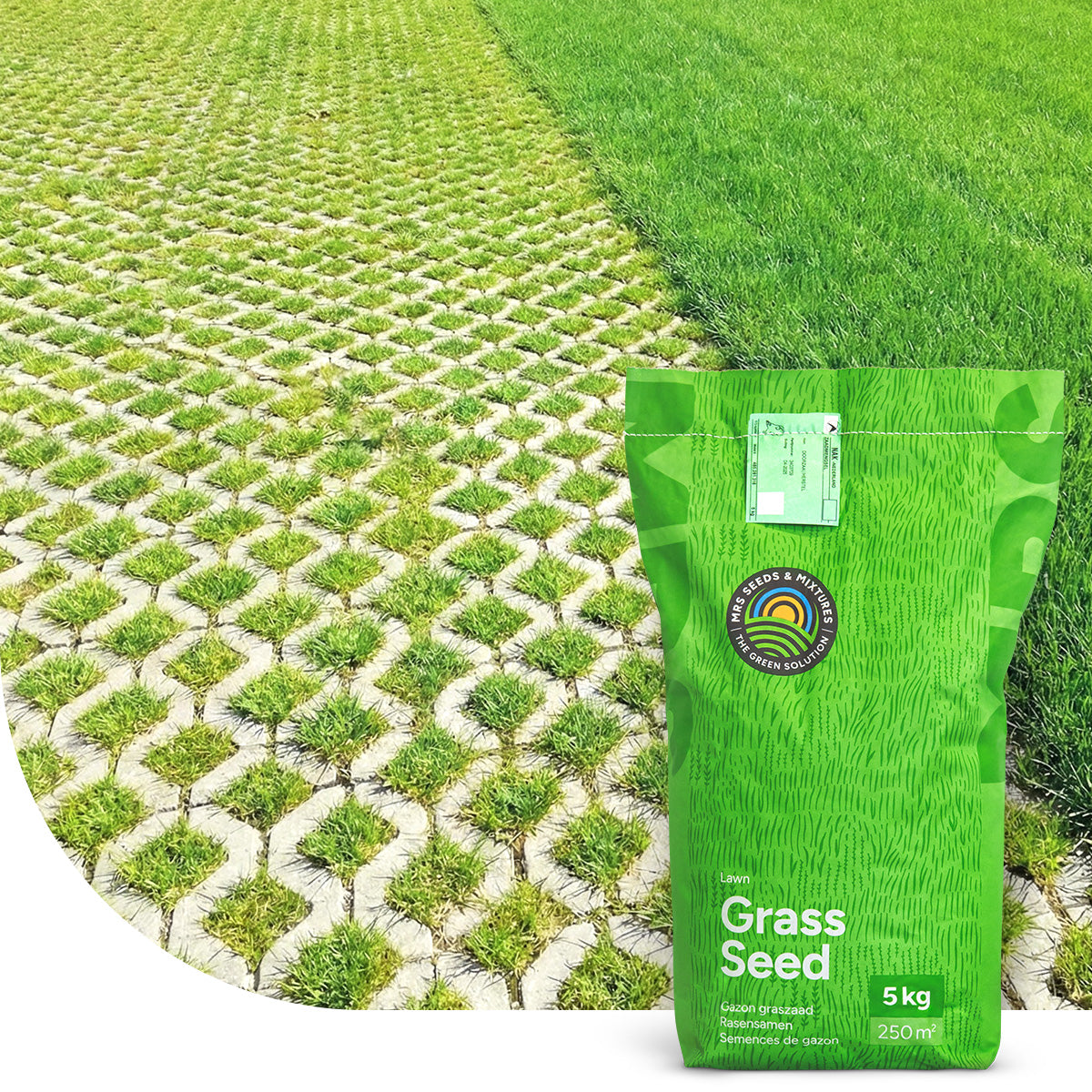 Park & Pave - RSM 5.1. Parkeerplaats graszaad