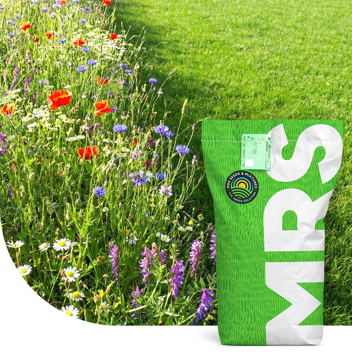 Robuust Kruidenrijk Akkerrandmengsel