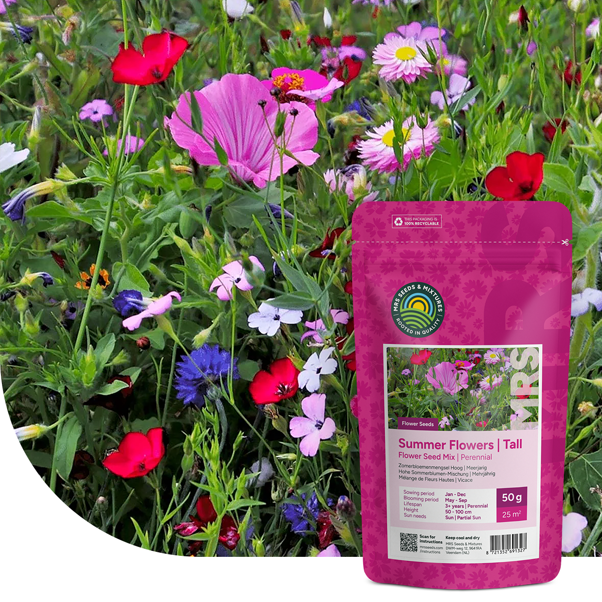 Zomerbloemenmengsel Hoog – Meerjarig