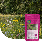 Schaduwrijk Bloemenmengsel – Meerjarig