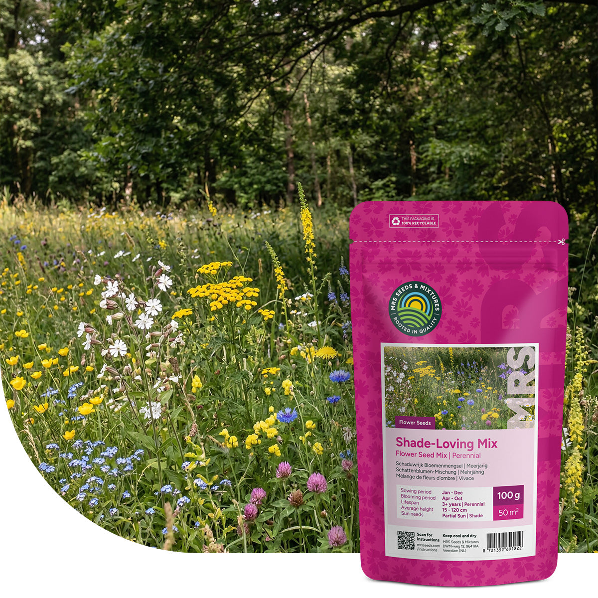 Schaduwrijk Bloemenmengsel – Meerjarig
