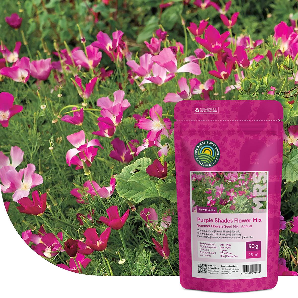 Zomerbloemen Paarse Tinten Mix