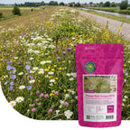 Type DT3 – Bloemrijke Dijken & Taluds