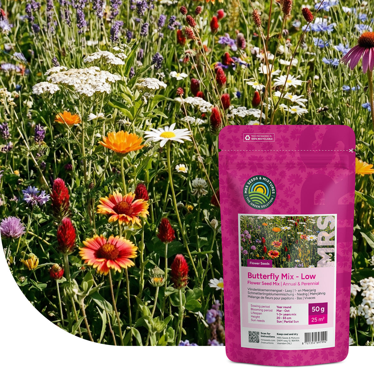Bloemenmengsel voor Vlinders – Laag