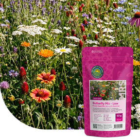 Bloemenmengsel voor Vlinders – Laag
