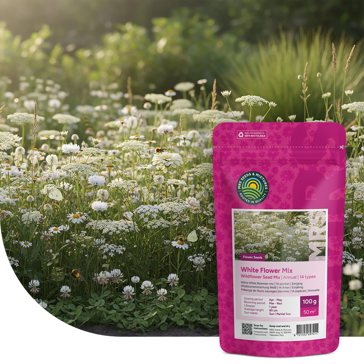 Witte Wilde Bloemen mix – 14 Soorten