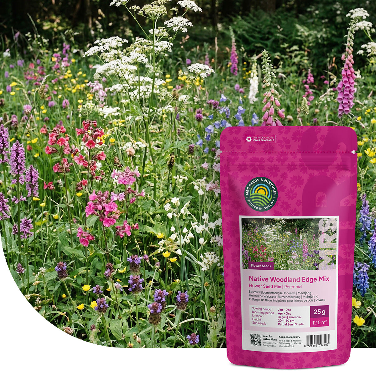 Bosrand Bloemenmengsel Inheems – Meerjarig