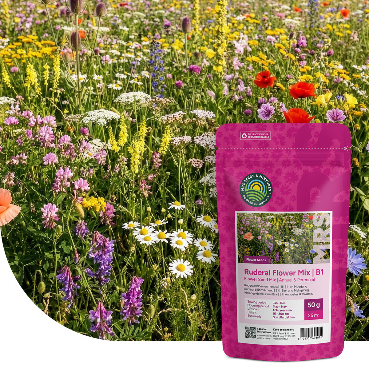 B1 – Ruderaal bloemenmengsel