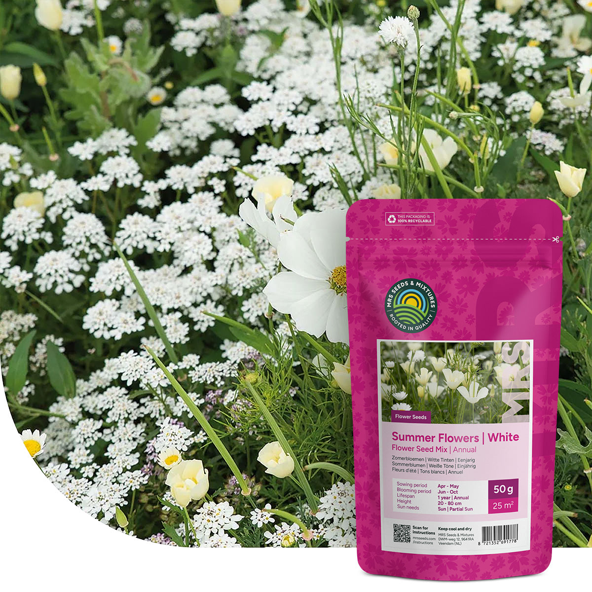 Zomerbloemen Witte Tinten Mix
