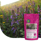 Droogteresistent bloemenmengsel