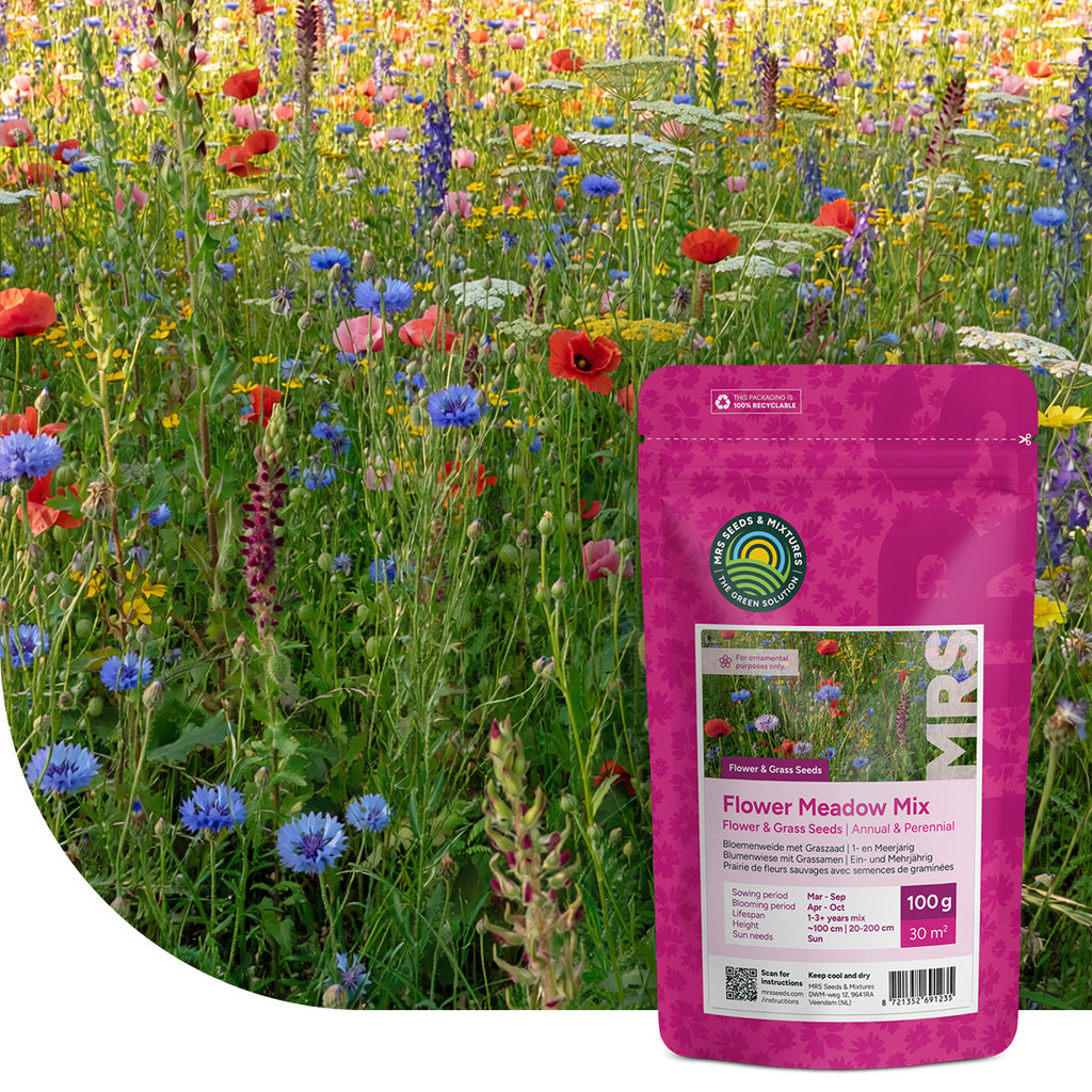 Bloemenweide met Graszaad