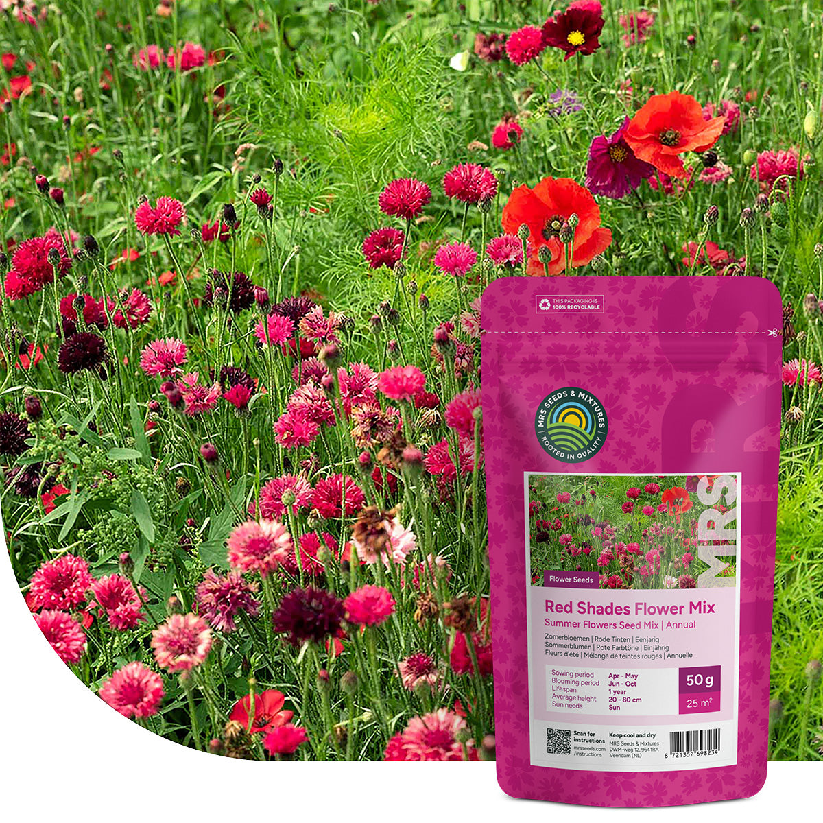 Zomerbloemen Rode Tinten Mix