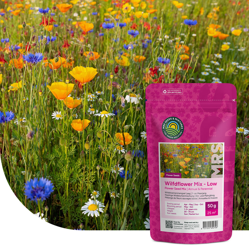 Wildbloemenmengsel Laag 1- en meerjarig