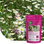 Margrietenmengsel 2- Inheems