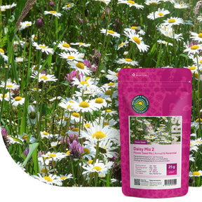 Margrietenmengsel 2- Inheems