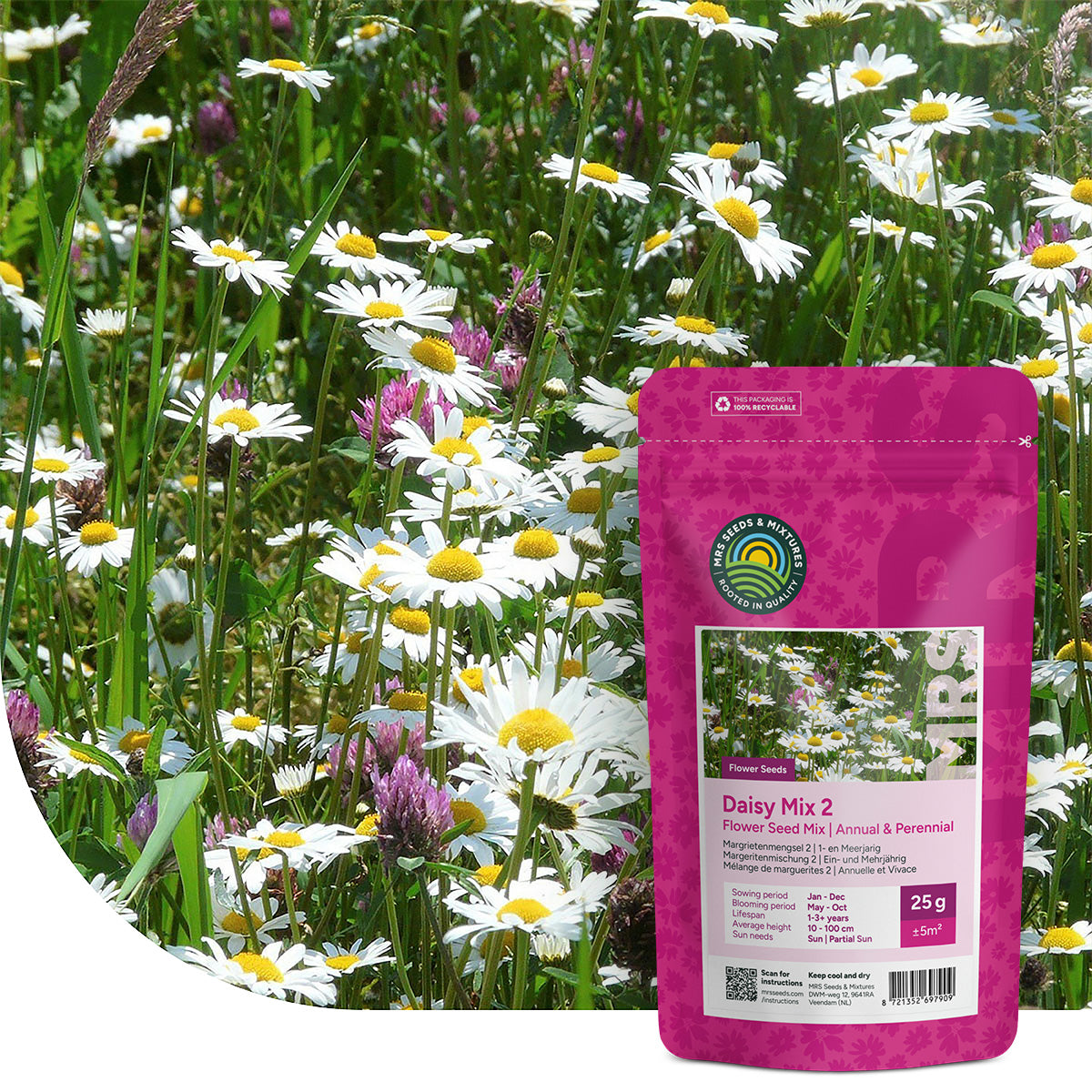 Margrietenmengsel 2- Inheems