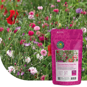 Zomerbloemen Roze & Rode Tinten Mix