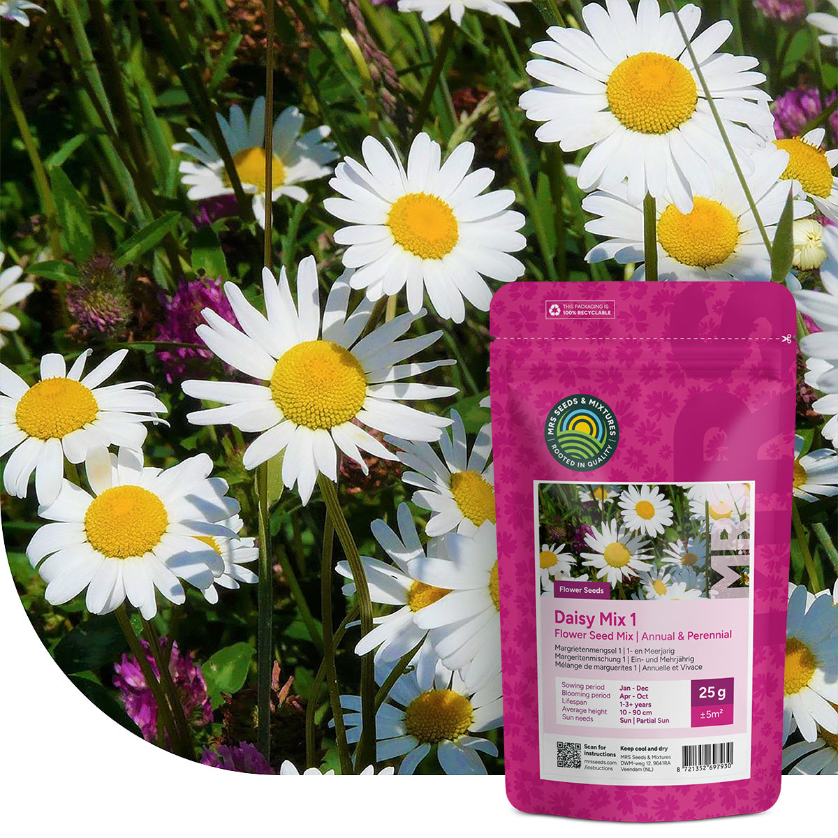 Margrietenmengsel 1 – Inheems