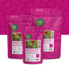 Bijen & Hommelmengsel 1- en Meerjarig