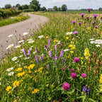 G5 – Bloemrijk Bermenmengsel