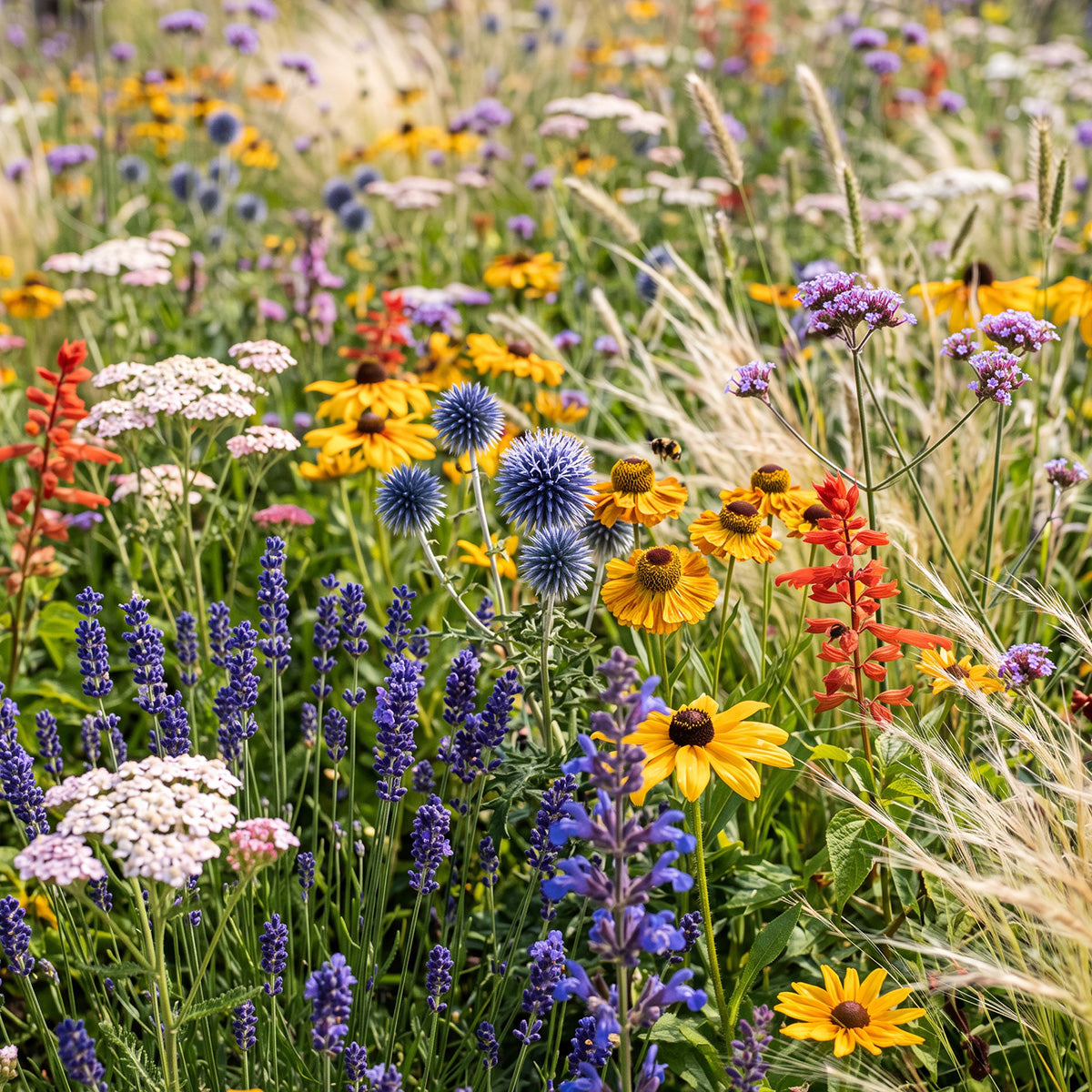 Prairietuin Compleet