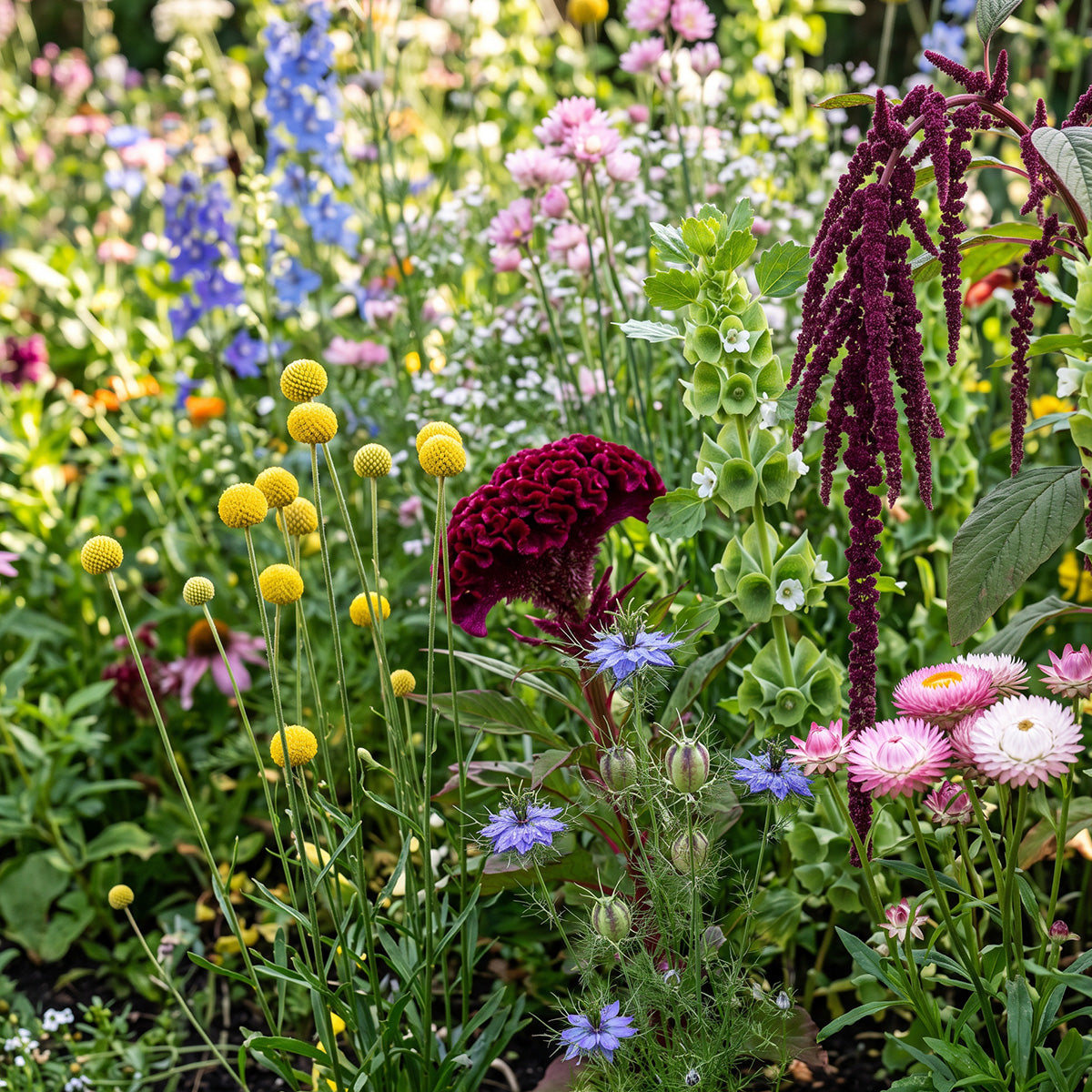 Droogbloemenmengsel – 21 soorten