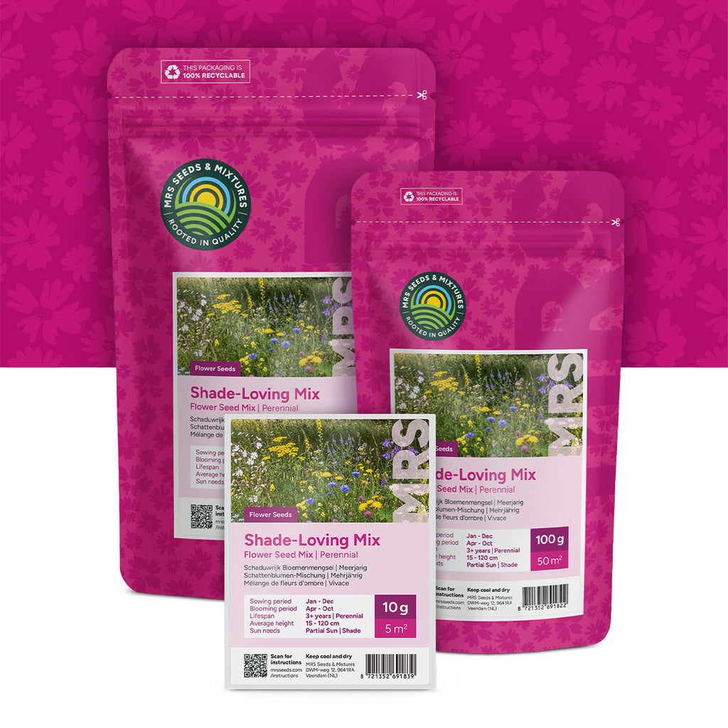 Schaduwrijk Bloemenmengsel – Meerjarig