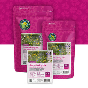 Schaduwrijk Bloemenmengsel – Meerjarig