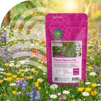 Bloemenweide met Graszaad